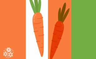 Морковкин витамин – это бета-каротин. Стихи про морковь для детей